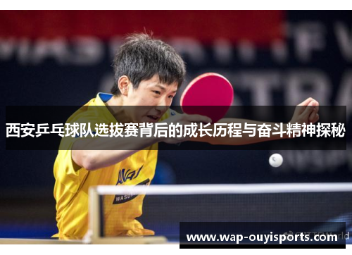 西安乒乓球队选拔赛背后的成长历程与奋斗精神探秘