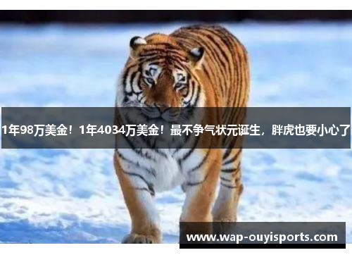 1年98万美金！1年4034万美金！最不争气状元诞生，胖虎也要小心了